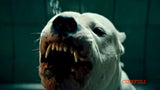 Dogman Blu-ray *SUOMITXT* (2018, Matteo Garrone, Cannes-menestys)