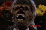 Funeral Home - Huutoja Yössä Blu-ray *ENG.TXT* (1980, 88 Films)