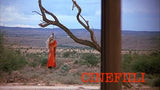 Ghost Town Blu-ray *ENG.ÄÄNI* (1988, Kauhuwestern, Limited 2-disc Edition)