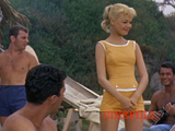 Gidget -elokuvakokoelma Blu-ray *ENG.TXT* (1959-72, 4 Elokuvaa, Komediaklassikot)
