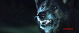 The Pack Blu-ray *ENG.ÄÄNI* (2015, Australian Kehuttu Eläinkauhu)