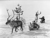 Valkoinen Peura Blu-ray *SUOMIÄÄNI* (1952, Fantasiakauhuklassikko)