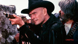 Adios Sabata *SUOMITXT* (1970, Yul Brynner, Spaghettiwestern)