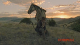 The Ballad of Lefty Brown *SUOMITXT* (2017, Bill Pullman, Peter Fonda)