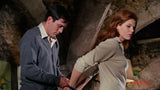 The Collector - Neitoperho Blu-ray *ENG.TXT* (1965, William Wyler)