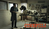 Dogman Blu-ray *SUOMITXT* (2018, Matteo Garrone, Cannes-menestys)