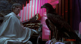 Vampyyri Nousee Haudastaan Blu-ray *ENG.TXT* (1972, Vincent Price)