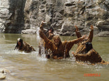 Vuorten Miehet *SUOMITXT* (1980, Charlton Heston, Brian Keith)