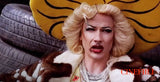Hedwig and the Angry Inch *ENG.TXT* (2001, Arvostelumenestys)