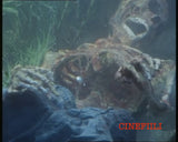 Raatelijat *SUOMITXT* (1979, Antonio Margheriti, Lee Majors)