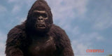 King Kong Lives *SUOMITXT* (1986, Linda Hamilton)