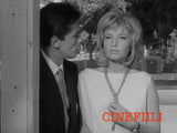 L'eclisse - Kuumetta Blu-ray *ENG.TXT* (1962, Alain Delon, Antonioni)