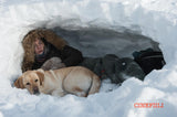 Vuori Välissämme 4K UHD *SUOMITXT* (2017, Kate Winslet, Idris Elba)