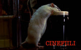 Rotta *SUOMITXT* (2000, Imelda Staunton, Fantasiakomedia)