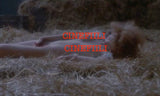 Pahuuden Jumalattaret *SUOMITXT* (1979, Erotiikkaa, Walerian Borowczyk)