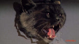 Pahan Silmät *SUOMITXT* (1990, Dario Argento, George A. Romero)
