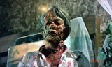Zombie -elokuvakokoelmaboksi *SUOMITXT* (1980-88, 4 DVD, Lucio Fulci, Umberto Lenzi)